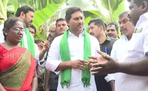 Pulivendula: YS Jagan Will Console Banana Farmers