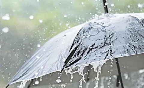 Moderate rains in Coastal Andhra and Rayalaseema from Saturday to Tuesday