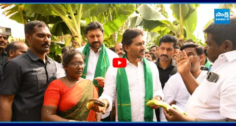 YS Jagan Visit Banana Farmers At Brahmanapalli  1
