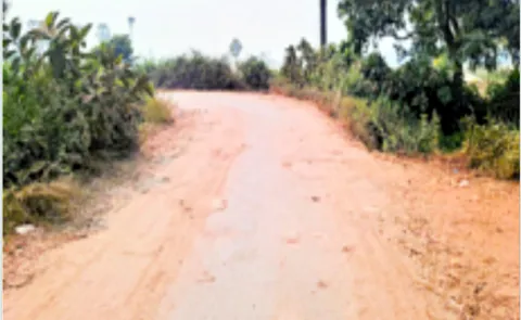 Road Accidents happen every day in Pithapuram Road turns