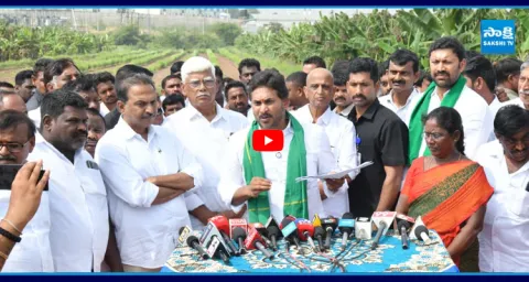 YS Jagan Satirical Punch on Chandrababu At Kadapa Tour 1