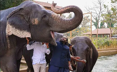 CITES CoP20 in Samarkand formally endorsed Vantara initiative1