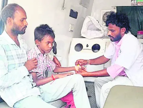 ప్రభుత్వ పాఠశాల విద్యార్థికి పాముకాటు