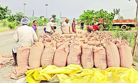 తగ్గిన దిగుబడులు.. పెరిగిన ఖర్చులు 