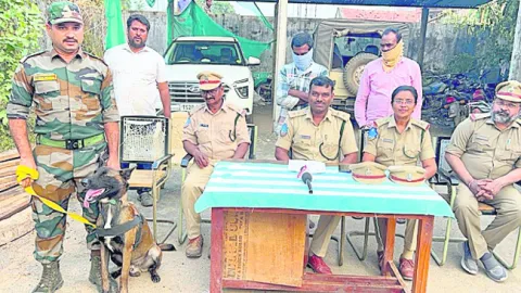 కలప దొంగల అరెస్ట్‌ 