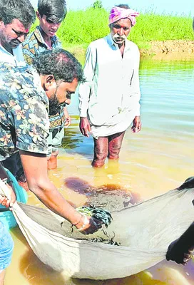 మీనమేషాలు ! 