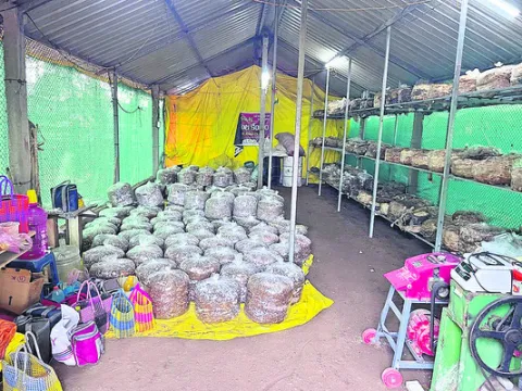 నిరుద్యోగులూ జాగ్రత్త..!