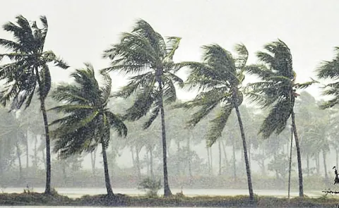 Low pressure area continues in the Bay of Bengal