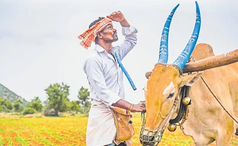 Disasters like climate change are having a severe impact on agriculture