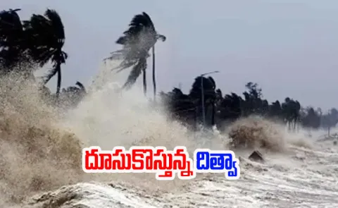 Cyclone Ditwah: IMD Alert For Andhra Pradesh