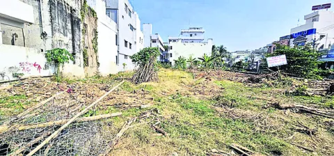 ఎవరి అండ?