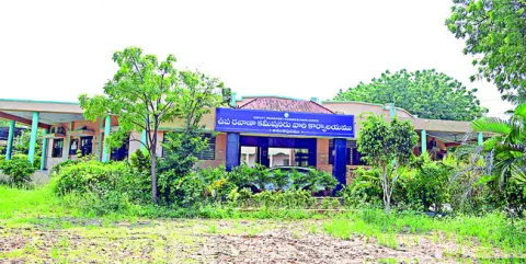 ‘ప్రైవేటు’కు డీఎల్‌జారీ ప్రక్రియ 