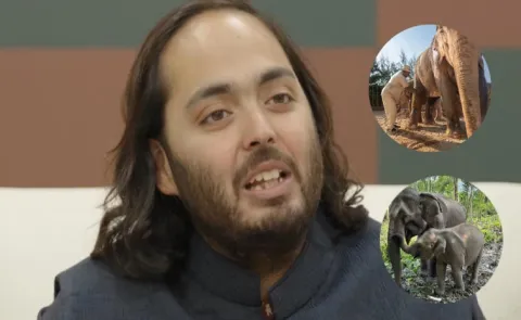 CITES CoP20 in Samarkand formally endorsed Vantara initiative