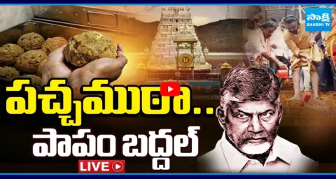 Tirumala Laddu Ghee Adulteration Controversy 1
