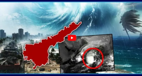 Cyclone Ditwah Near Sri Lanka IMD Issues Heavy Rain Alert For AP 1