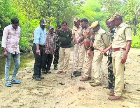 పులి కదలికలపై అప్రమత్తం