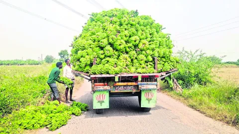 అంతులేని కష్టంలోనూ.. 