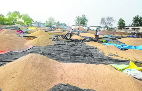 24 రోజులుగా టోకెన్లు లేవు 