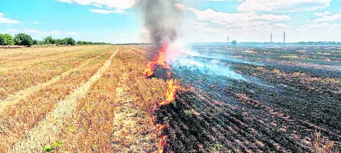 కొయ్యలు కలియదున్నితే భూసారం