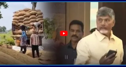 Paddy Procurement Collapse In Andhra Pradesh  1