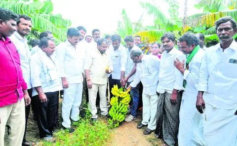 చంద్రబాబూ.. రైతులపై నిర్లక్ష్యం వీడండి