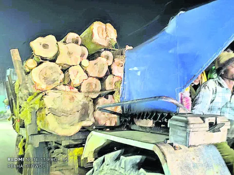 రాత్రి వేళల్లోనే నిత్యం కలప రవాణా!