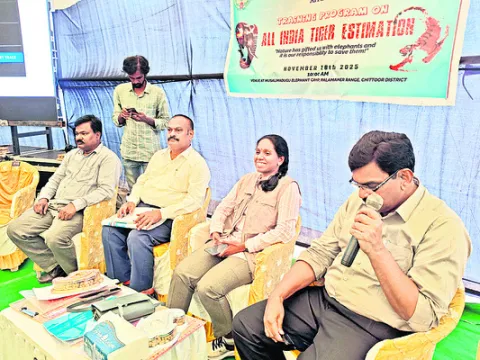 పటిష్టంగా పులుల గణన 