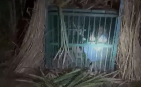 Drunk man gets locked inside cage meant for catching leopards
