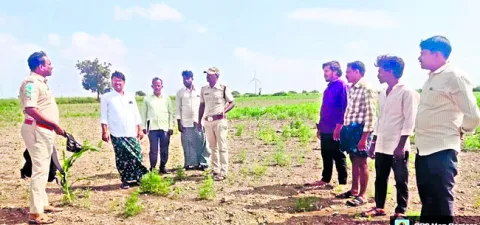 ఎంపీడీఓలుగా  ఐదుగురికి పోస్టింగ్స్‌ 