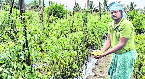 సంబరపడ్డా.. ఇంతలోనే... 
