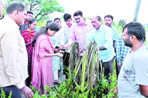 వరద బాధితులను ఆదుకుంటాం