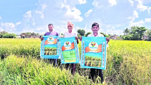 నాసిరకం విత్తనాలతో మోసపోయాం