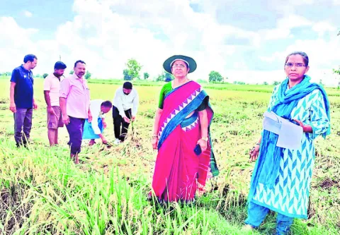 తడిసిన ధాన్యం కొనుగోలు చేసేలా చర్యలు