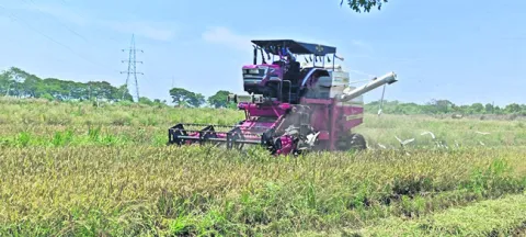 వరి కోతలు షురూ.. 