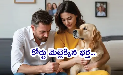 Gujarat Man Files Divorce Over Wife Love For A Pet Dog13