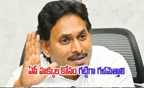 Ys Jagan Directs Ysrcp Mps To Fight For AP Rights In Parliament