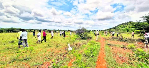 ఓయమ్మో.. ఓయమ్మో! 