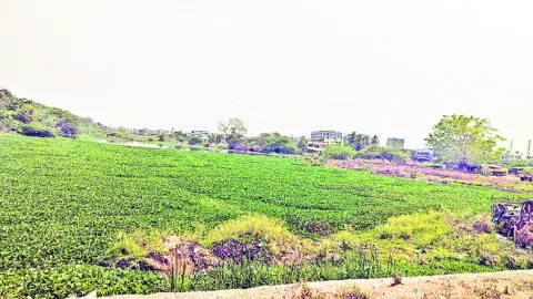 కదిలిన ధాన్యాగారం పునాదులు!