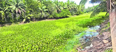 తూడుచిపెట్టిన నిర్లక్ష్యం