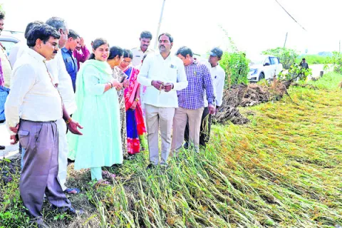 నష్ట తీవ్రతను అంచనా వేయాలి