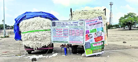 పత్తి కొనుగోళ్లలో సీసీఐ జిమ్మిక్కులు