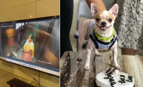 Bengaluru maid caught on CCTV pet puppy 