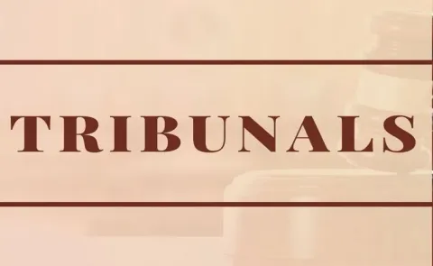 SC irked as Centre seeks hearing by larger bench