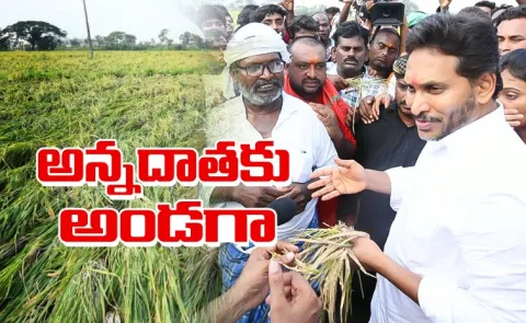 Ys Jagan Krishna District Tour