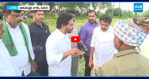 YS Jagan Visits Akumarru Farmers  1