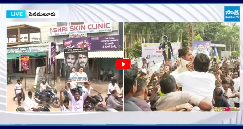 Mahesh Babu Fans at YS Jagan Rally 1