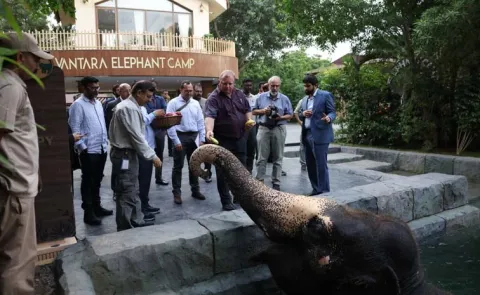 CITES Hails Vantara Animal Care Standards