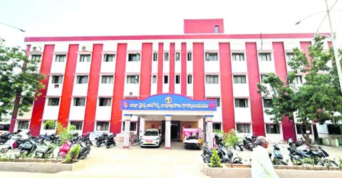 షాడో డీఎంహెచ్‌ఓ 