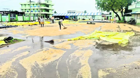 మక్క రైతు గోస