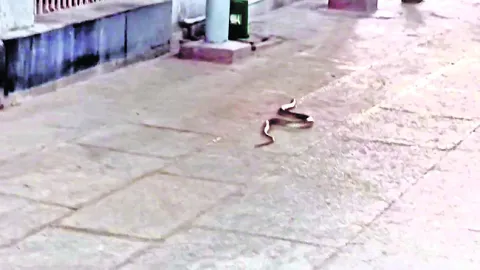 8న సీబీఐటీలో స్ట్రాటో  ఎక్స్‌మిషన్‌ శాటిలైట్‌ ఆవిష్కరణ 